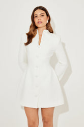 Button Down Dress